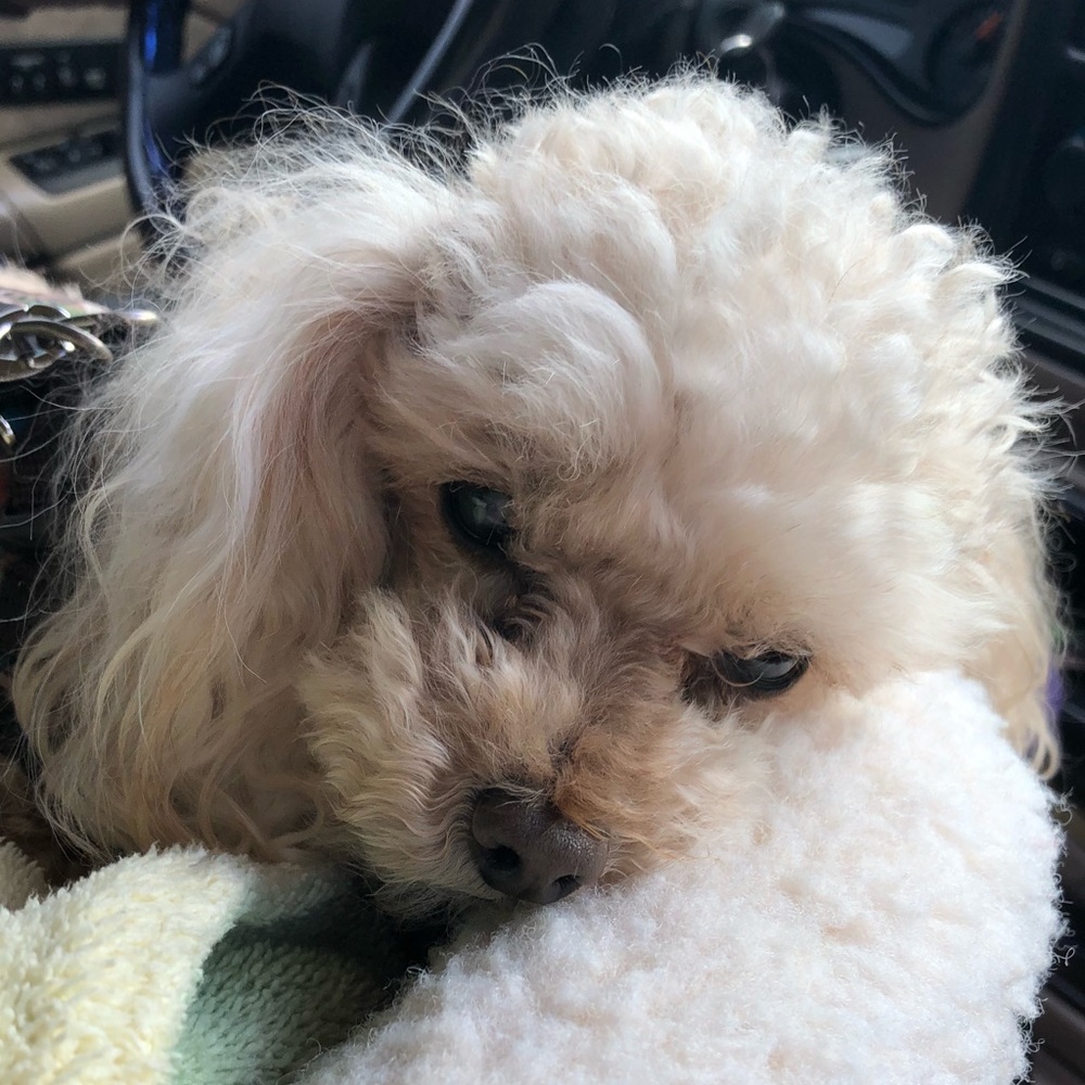 Meet your Posher, Kimberly